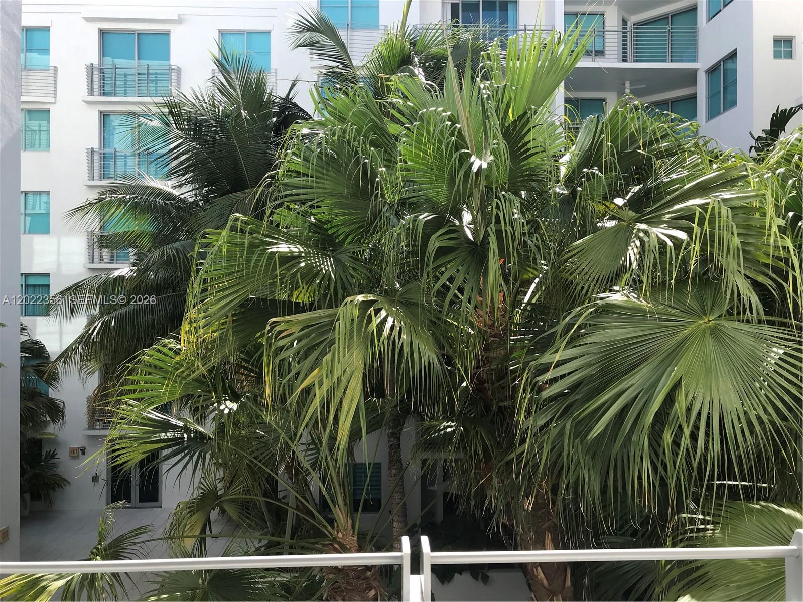 A view of a large palm tree in front of a multi-story white apartment building — 110 Washington Ave # 1614, Miami Beach FL 33139, MIAMI BEACH, FL