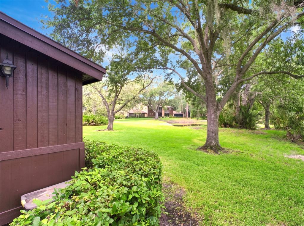 A view of a grassy backyard with large trees and a small pond in the distance — 1400 TARPON WOODS BOULEVARD UNIT A1, PALM HARBOR, FL