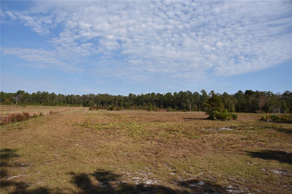 81 CLOUDS AVE, INTERLACHEN,, FL — photo 2 of 30
