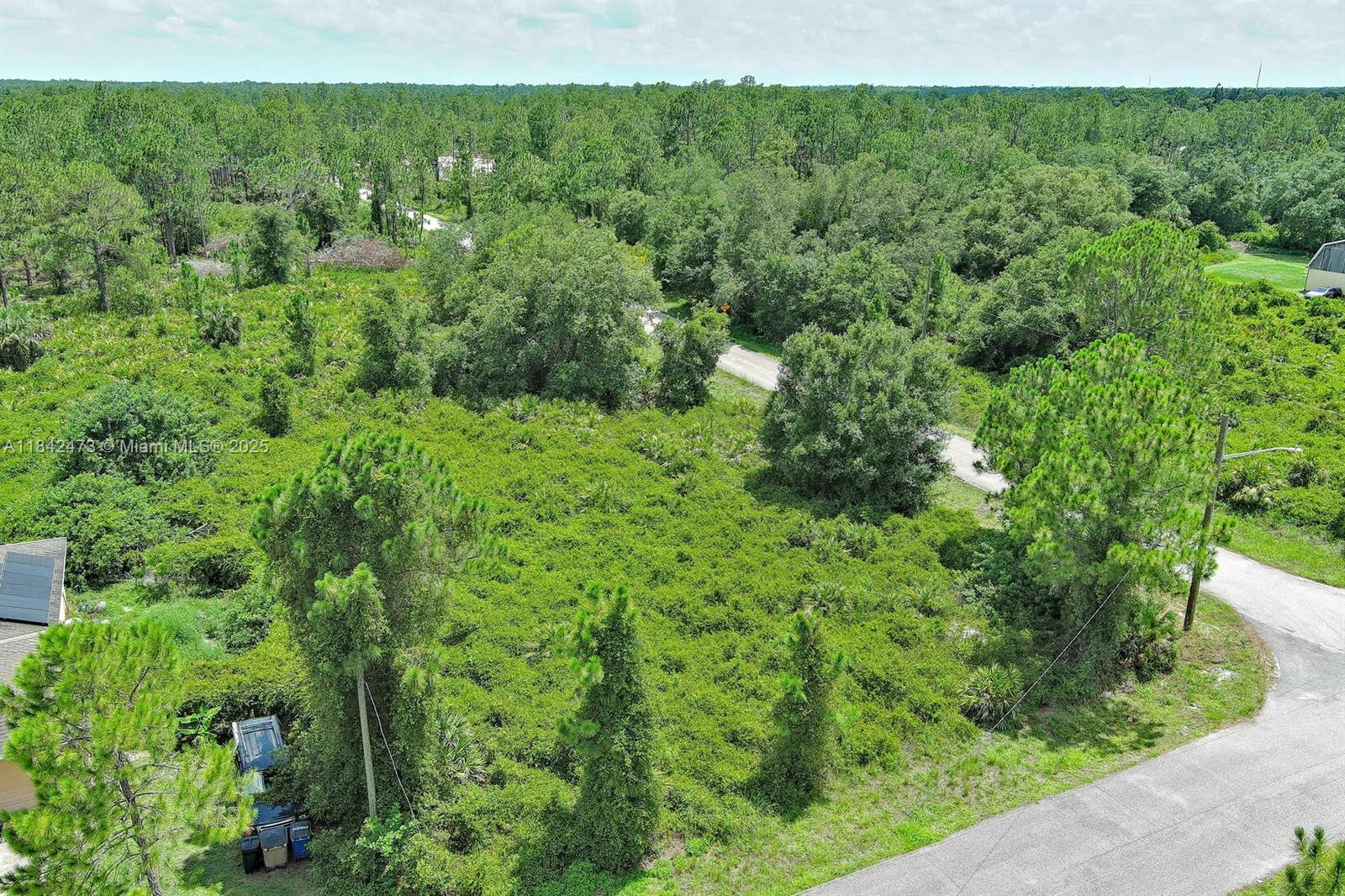 An aerial view shows a vacant, wooded lot bordered by paved roads and nearby houses — 3100 E 13th St, Lehigh Acres FL 33972, LEHIGH ACRES, FL