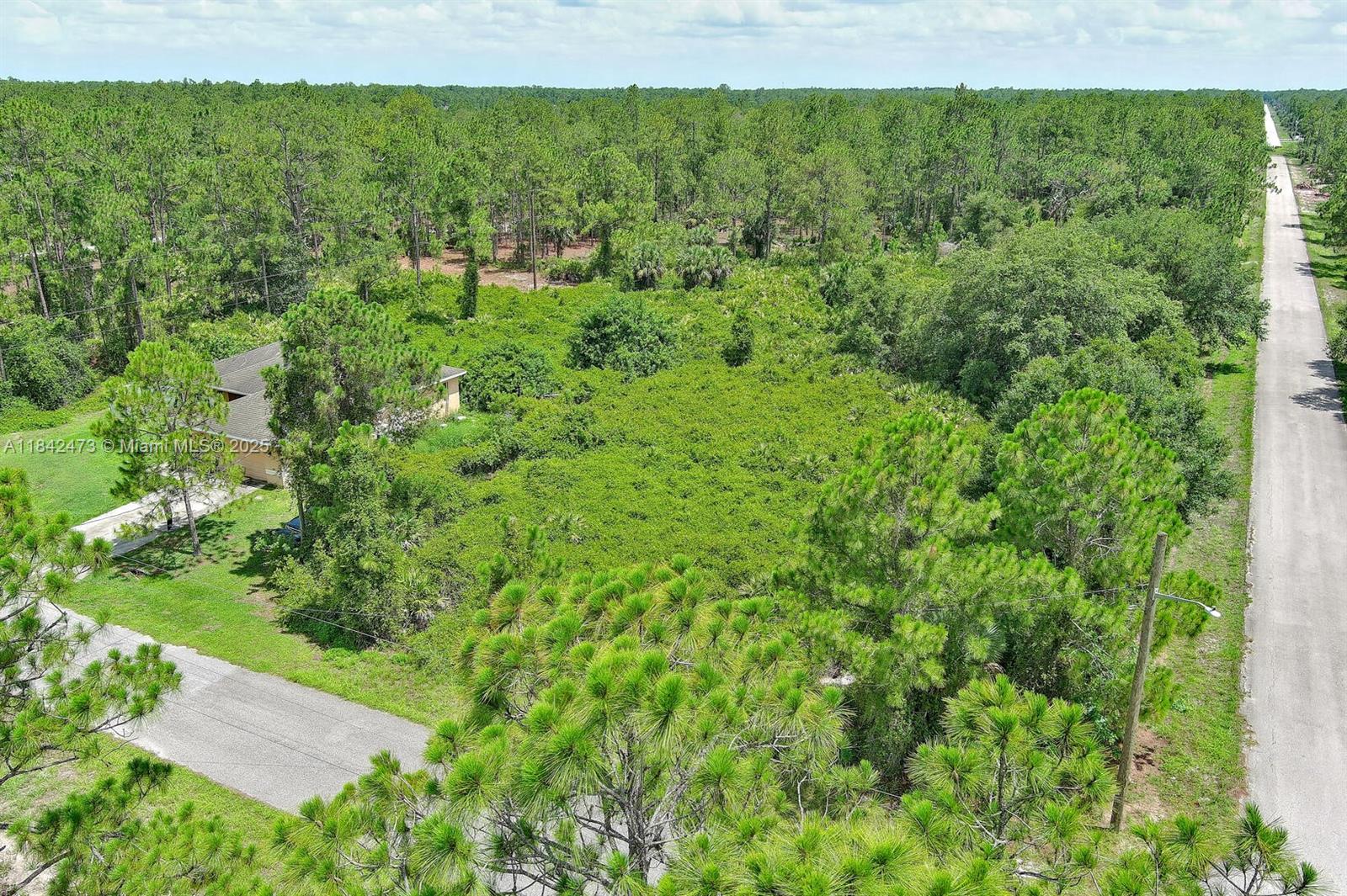 An aerial view shows a house surrounded by dense vegetation and pine trees near a road — 3100 E 13th St, Lehigh Acres FL 33972, LEHIGH ACRES, FL