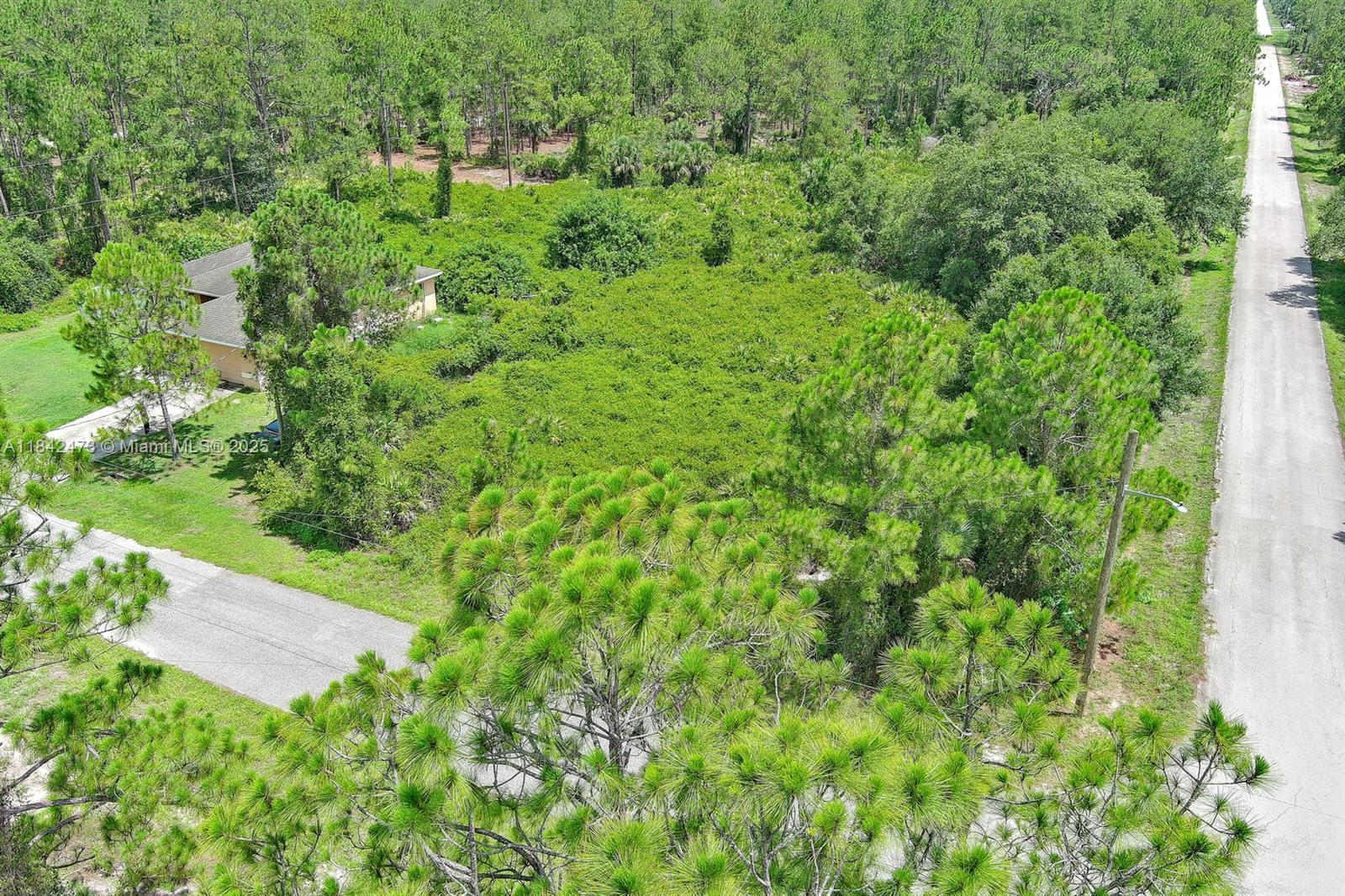 An aerial view shows a wooded lot with a house and a paved road — 3100 E 13th St, Lehigh Acres FL 33972, LEHIGH ACRES, FL