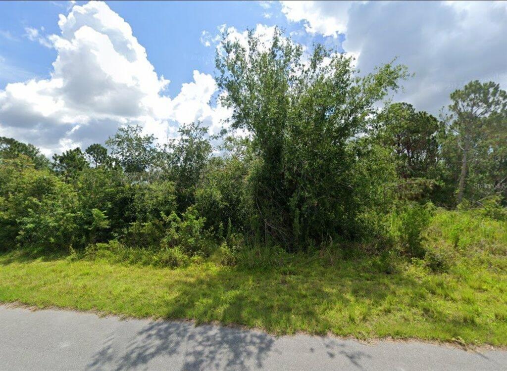 A view of a vacant, overgrown grassy lot bordered by trees and a paved road — 2336 DRENNON STREET, PORT CHARLOTTE, FL