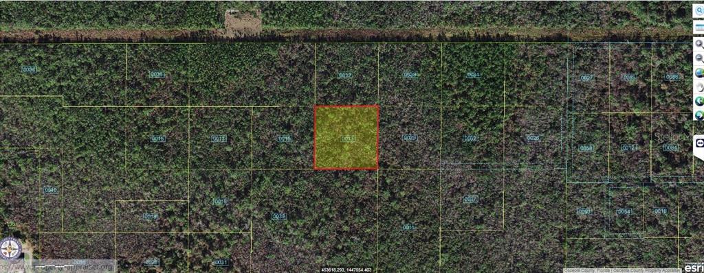 This is an aerial map showing a highlighted rectangular parcel of undeveloped, wooded land — ROBIN TRAIL, KISSIMMEE, FL