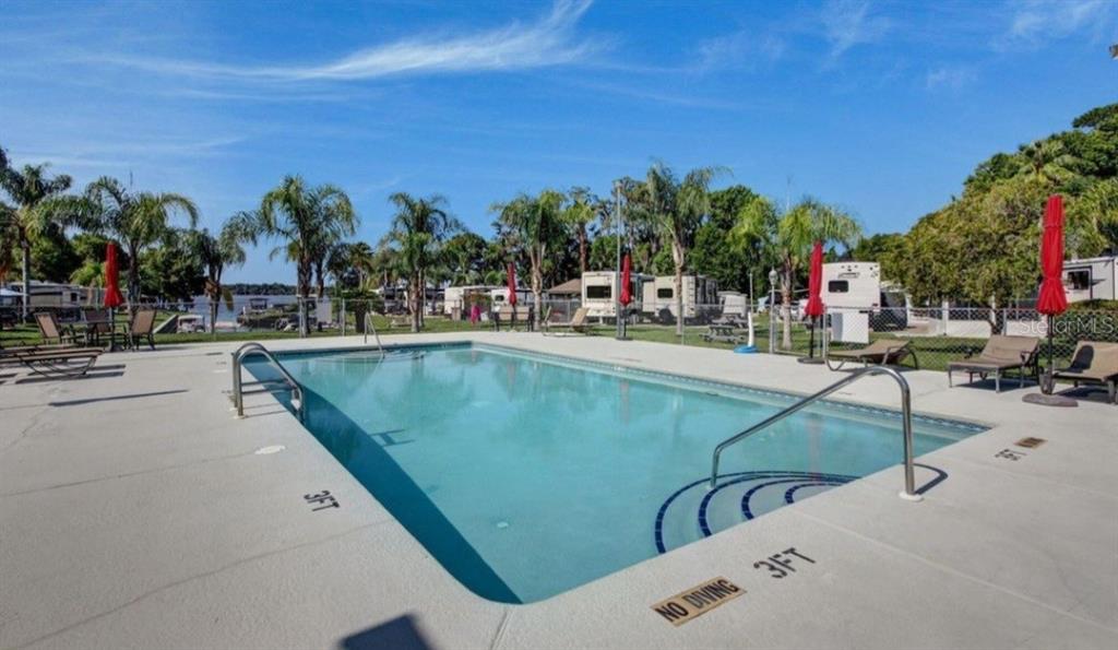 An outdoor swimming pool with lounge chairs and palm trees at a recreational vehicle park — 1074 FRONT STREET UNIT 51, WELAKA, FL