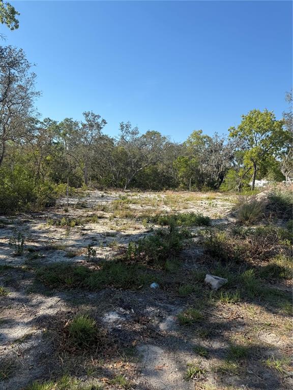 A vacant, sandy lot is surrounded by trees under a clear blue sky — 449 NAPLES COURT, KISSIMMEE, FL