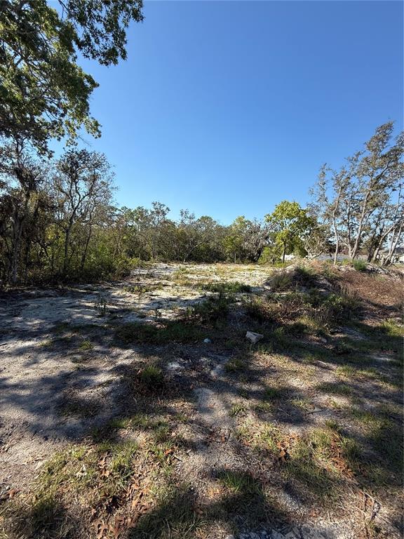A vacant, sandy lot is surrounded by trees under a clear blue sky — 449 NAPLES COURT, KISSIMMEE, FL