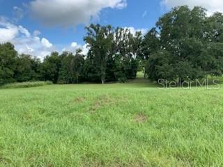 A grassy, open field is bordered by a line of mature trees under a blue sky — 13620 CARNOUSTIE CIRCLE, DADE CITY, FL