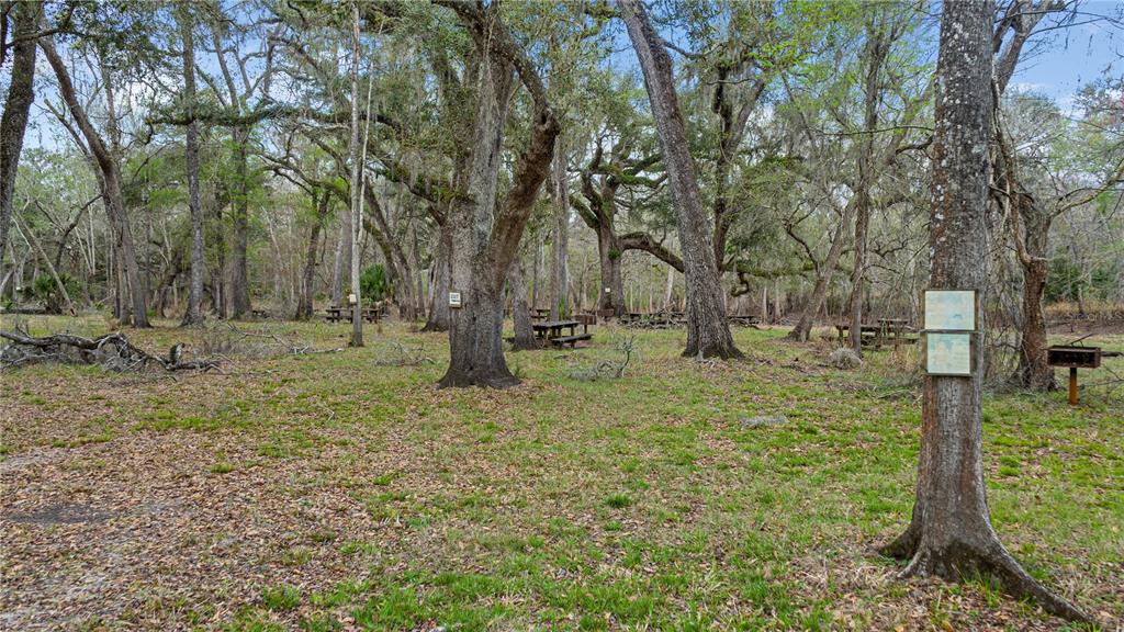 A wooded park area features picnic tables, grills, and informational signs attached to large trees — 2878 NE 340 HIGHWAY, BRANFORD, FL