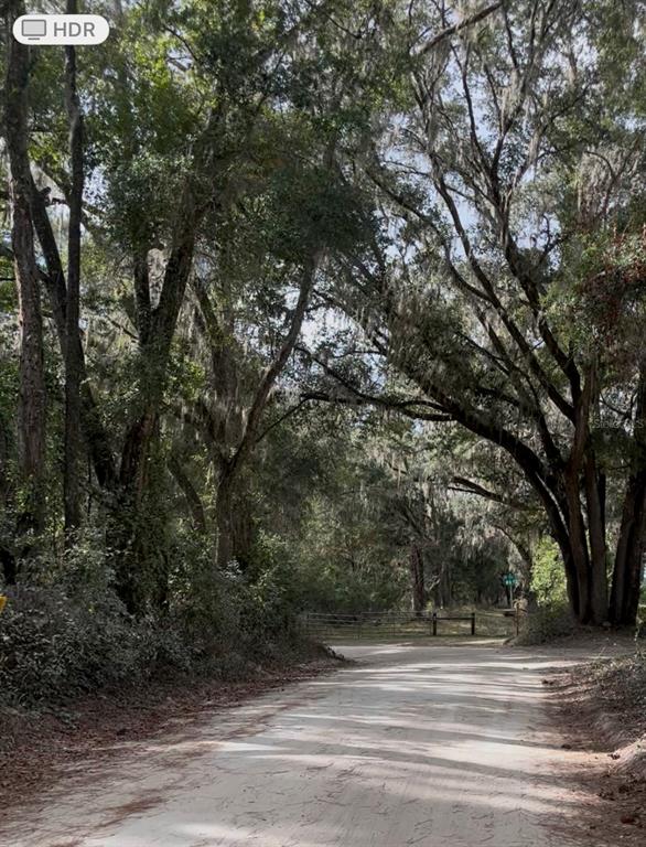 A dirt road leads through a canopy of large trees toward a gated entrance — SW 194 ST, ARCHER,FL 32618 - O4462-011-000, ARCHER, FL