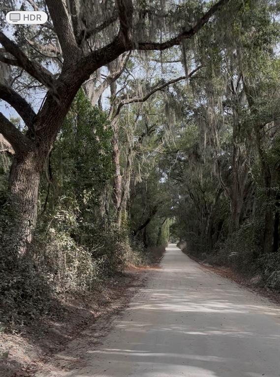 A dirt road winds through a canopy of large trees draped with Spanish moss — SW 194 ST, ARCHER,FL 32618 - O4462-011-000, ARCHER, FL
