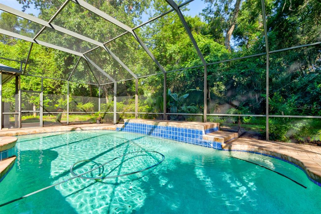 A screened-in swimming pool with a blue tiled water feature and surrounding patio — 1321 WICKLOW LANE, ORMOND BEACH, FL