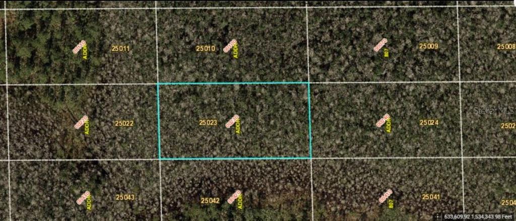 This is a satellite map view showing a highlighted rectangular plot of land — DILL ROAD, ORLANDO, FL