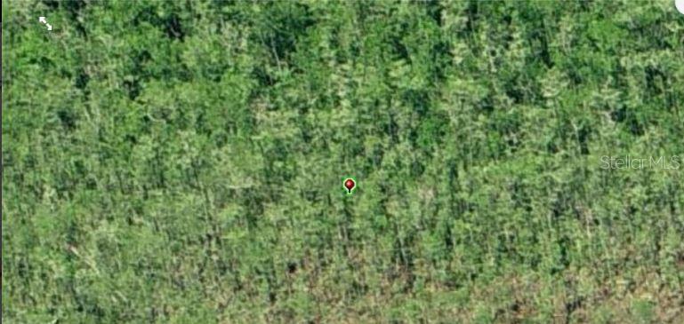 An aerial view shows a dense, wooded lot marked by a red map pin — DILL ROAD, ORLANDO, FL
