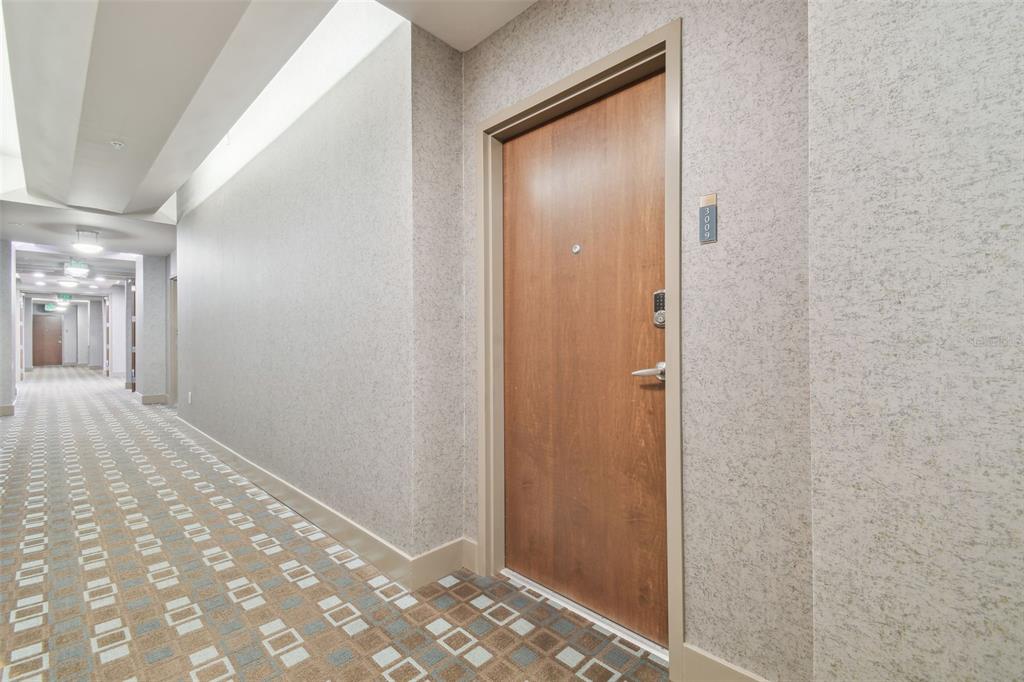 A hallway with patterned carpet leads to a wooden door labeled 3009 — 777 N ASHLEY DRIVE UNIT 3009, TAMPA, FL