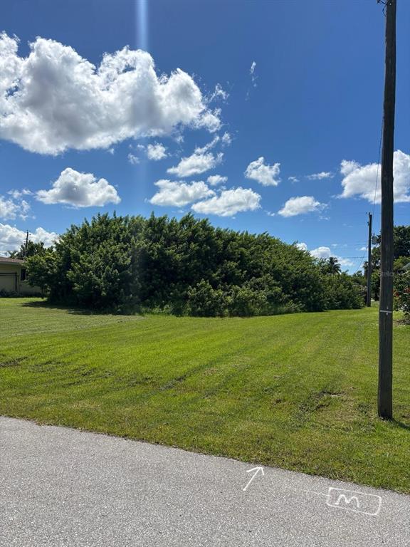 A grassy vacant lot features a large, dense cluster of trees under a blue sky — 193 GARDEN AVENUE NW, PORT CHARLOTTE, FL