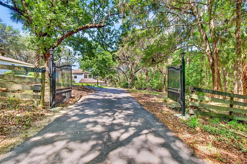 A paved driveway leads through an open metal gate toward a house surrounded by trees — 17704 SE 59TH STREET, MICANOPY, FL
