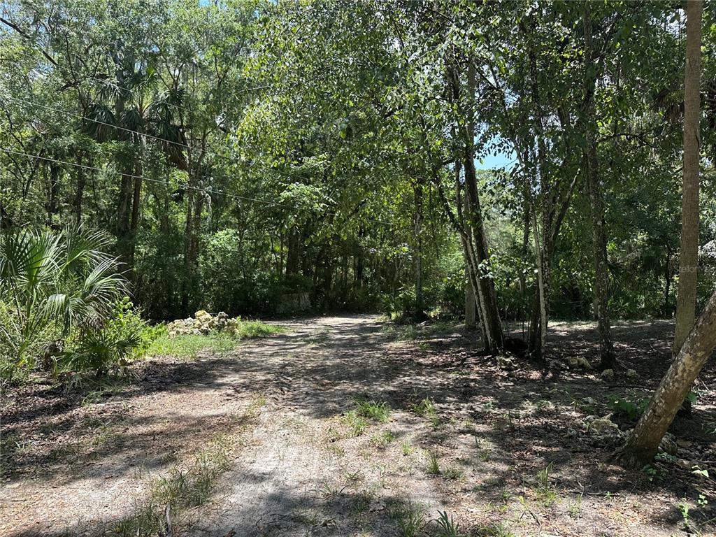 A dirt path leads into a wooded area with dense trees and scattered rocks — 292 S DEW PLANT POINT, CRYSTAL RIVER, FL
