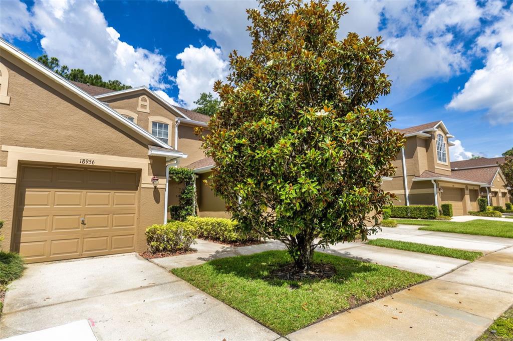 A tan townhouse exterior features a single-car garage, a large magnolia tree, and a driveway — 18958 DUQUESNE DRIVE, TAMPA, FL