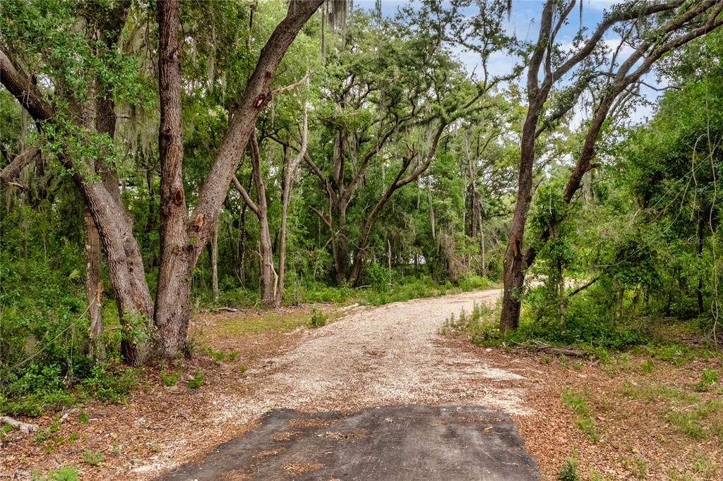 A gravel driveway leads into a wooded area with mature trees draped in Spanish moss — BAY STREET, LEESBURG, FL