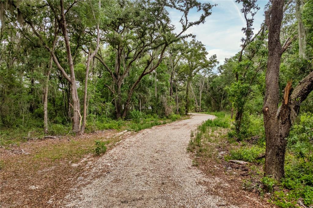 A gravel path winds through a wooded area with mature trees and Spanish moss — BAY STREET, LEESBURG, FL