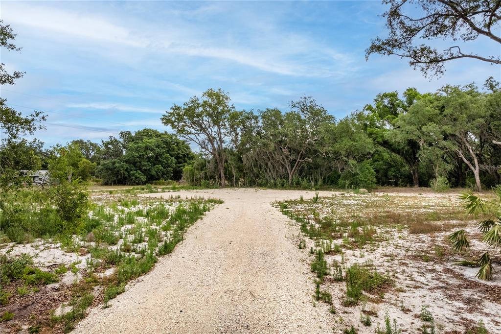 A gravel driveway leads through a sandy, partially cleared lot surrounded by mature trees — BAY STREET, LEESBURG, FL