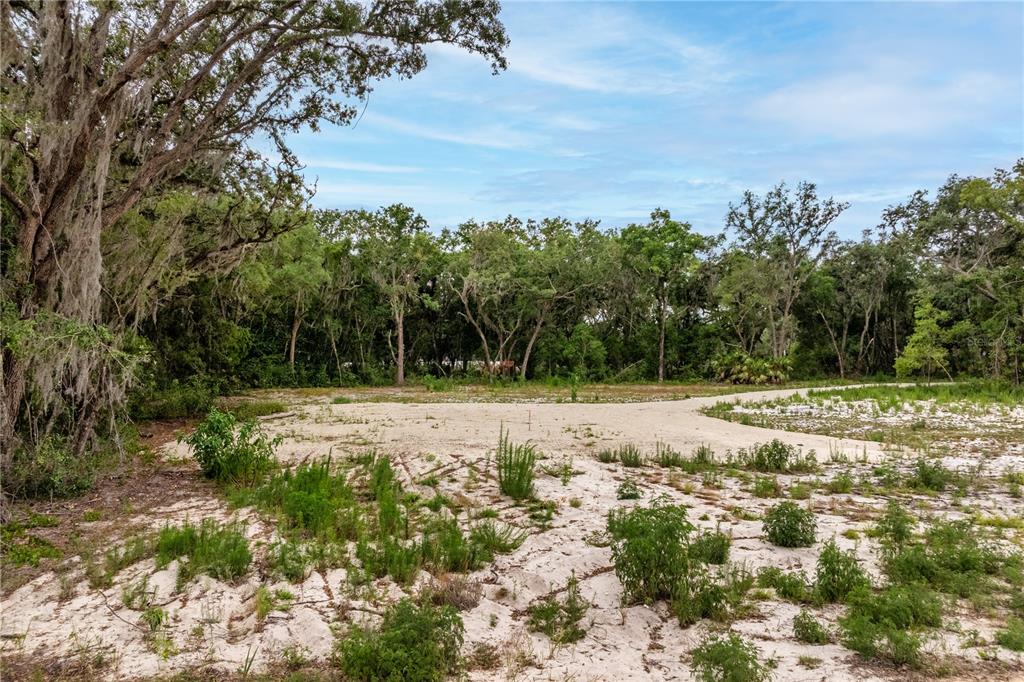 A cleared, sandy residential lot is surrounded by mature trees under a blue sky — BAY STREET, LEESBURG, FL