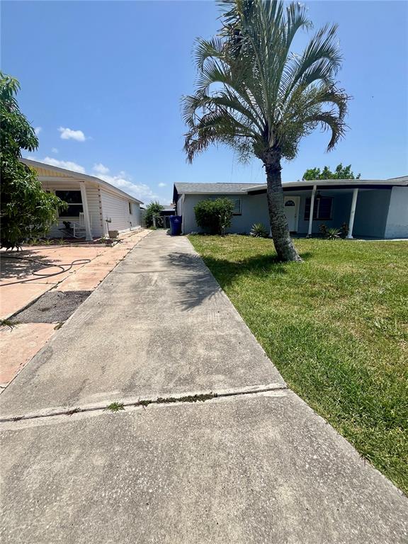 A concrete driveway leads between two houses toward a palm tree and a blue bin — 3716 CEDARWOOD DRIVE, HOLIDAY, FL