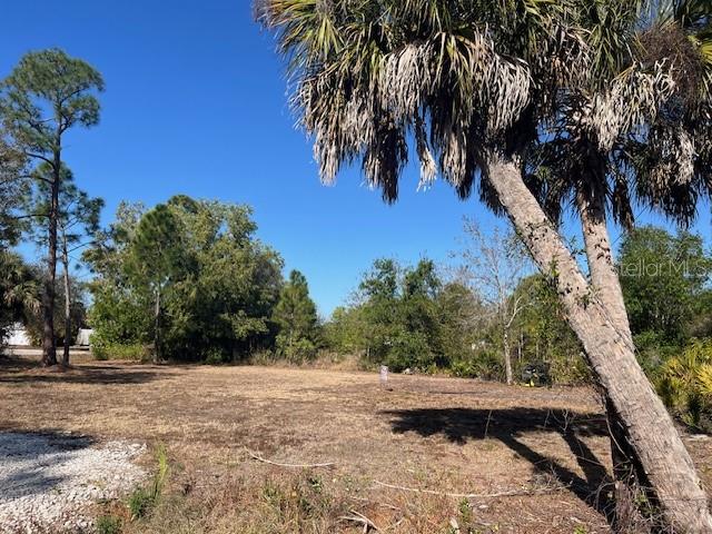A vacant, grassy lot with a large palm tree in the foreground under a clear sky — 11508 6TH AVENUE, PUNTA GORDA, FL