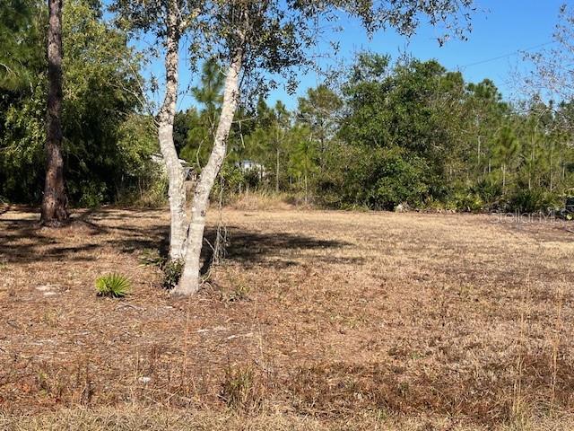 A vacant, grassy lot with scattered trees and dense woods in the background — 11508 6TH AVENUE, PUNTA GORDA, FL