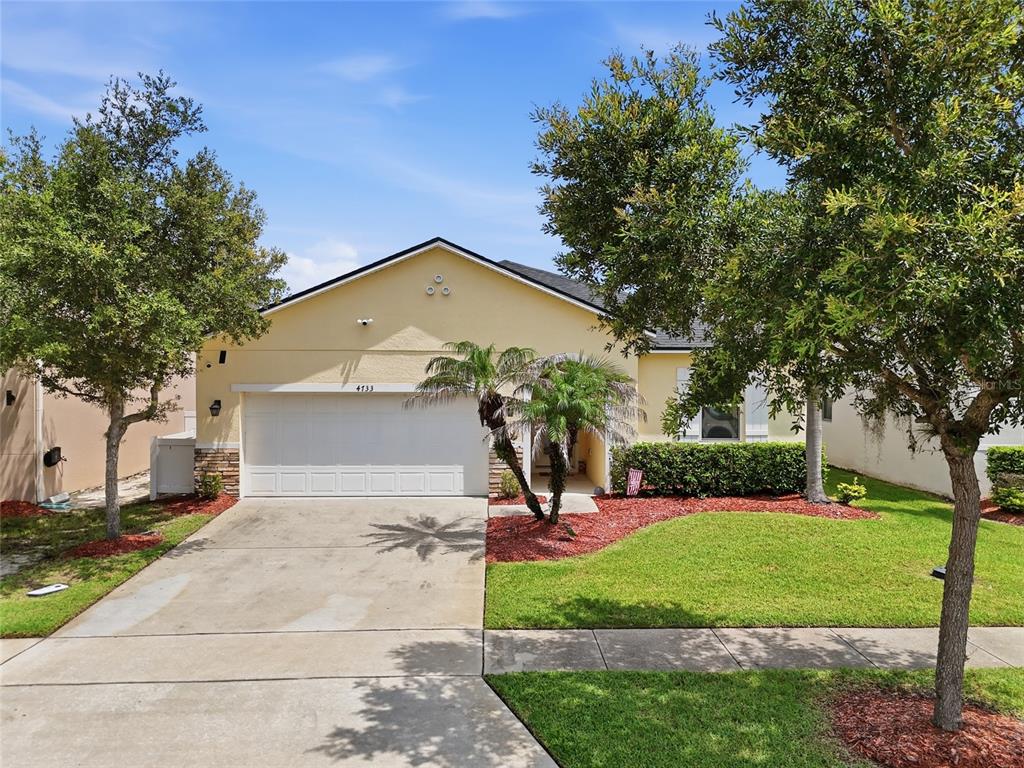 4733 BLUE DIAMOND STREET