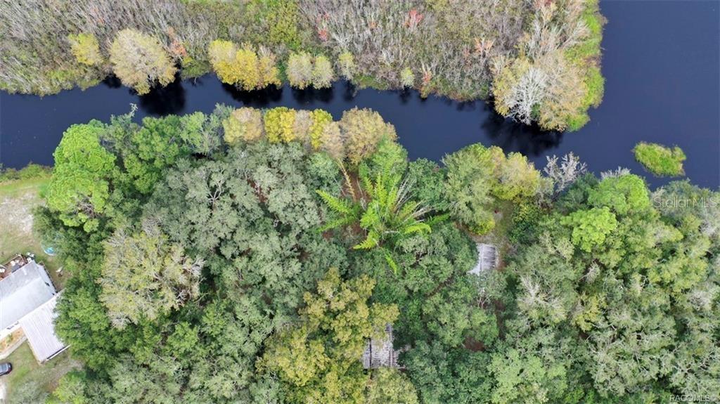 An aerial view shows a dense wooded area bordering a dark, narrow body of water — 10909 E FLOUNDER DRIVE, FLORAL CITY, FL