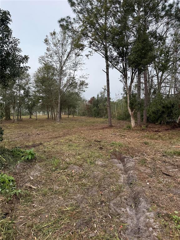 A view of a cleared, grassy lot with scattered trees under an overcast sky — 0 WEST FROSTPROOF ROAD, FROSTPROOF, FL