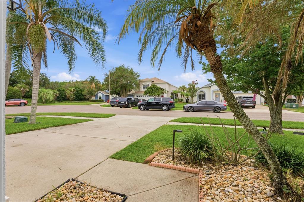 A view from a driveway looking across a suburban street at several houses and cars — 13917 TALLOWRIDGE COURT, ORLANDO, FL