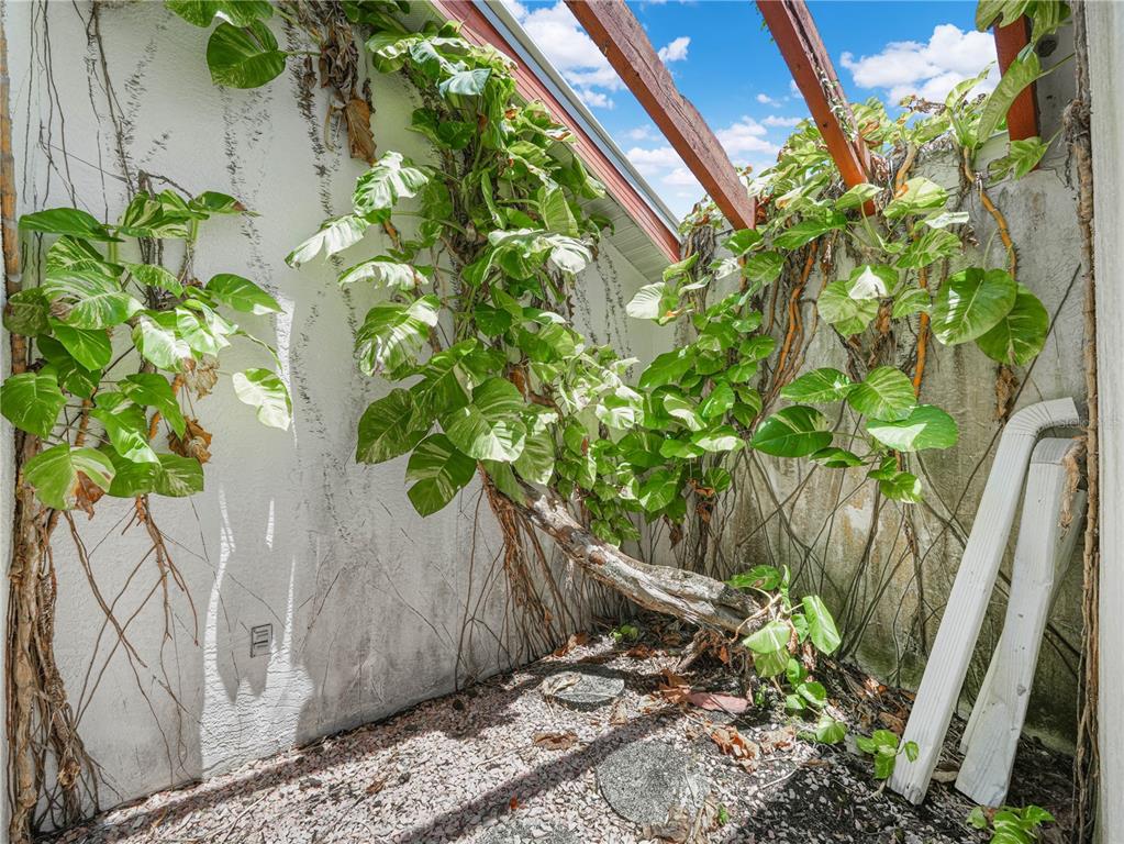 A patio area features a large, climbing pothos plant growing against a white stucco wall — 262 GEORGE ROAD SE, PORT CHARLOTTE, FL