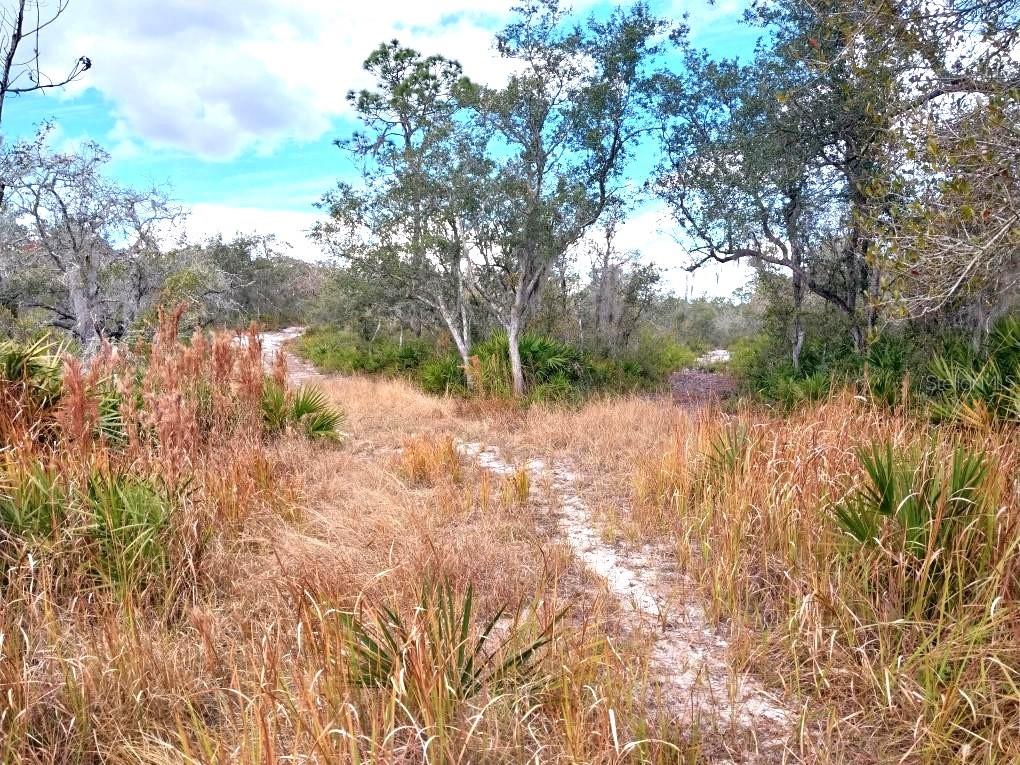 701 GOPHER TRAIL, FROSTPROOF, FL — photo 2 of 2