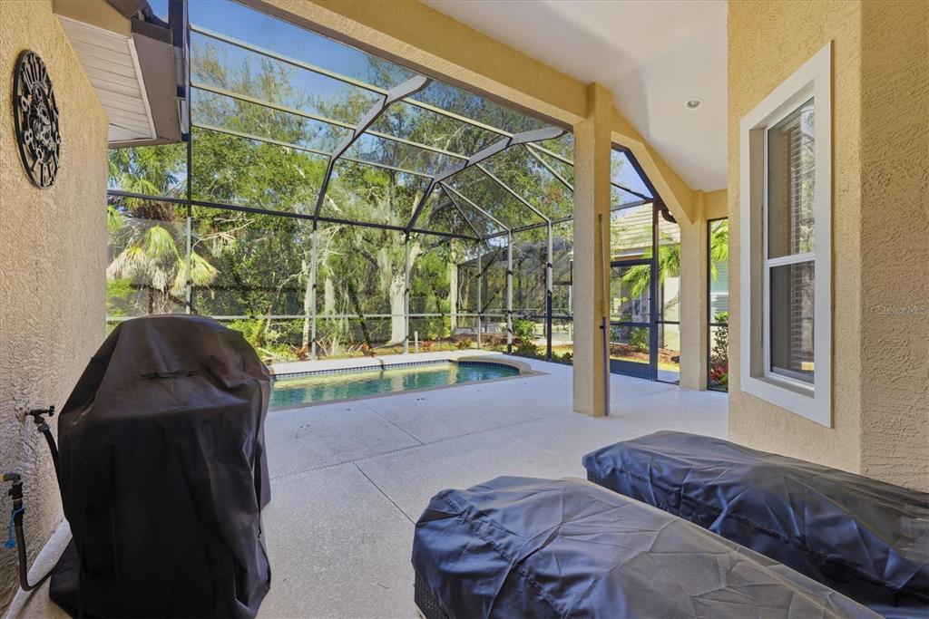 A covered patio features a screened-in pool, concrete flooring, and furniture covered with protective tarps — 7478 EDENMORE STREET, LAKEWOOD RANCH, FL
