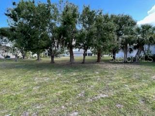 A grassy vacant lot features several mature trees under a clear blue sky — 310 W HENRY STREET, PUNTA GORDA, FL
