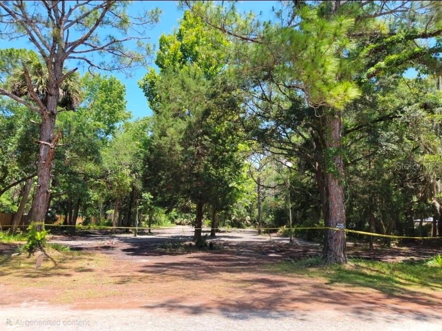 A wooded, undeveloped residential lot features a dirt clearing marked by yellow caution tape — 177 GLADYS AVENUE, INGLIS, FL