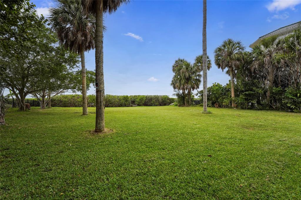 A grassy backyard features several palm trees and a dense hedge under a blue sky — 7538 WESTMORELAND DRIVE, SARASOTA, FL