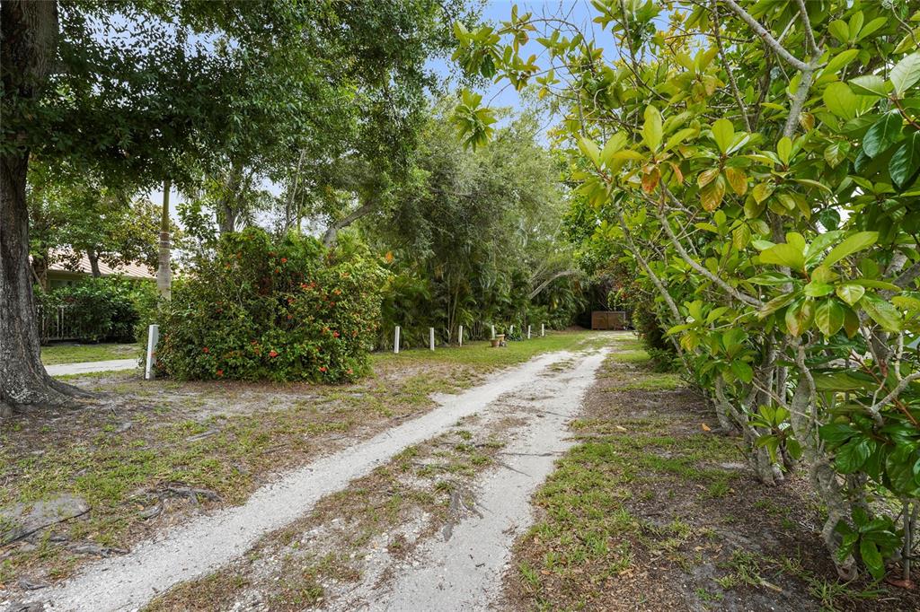 A dirt driveway leads through a lush, tree-lined yard toward a distant wooden structure — 7538 WESTMORELAND DRIVE, SARASOTA, FL