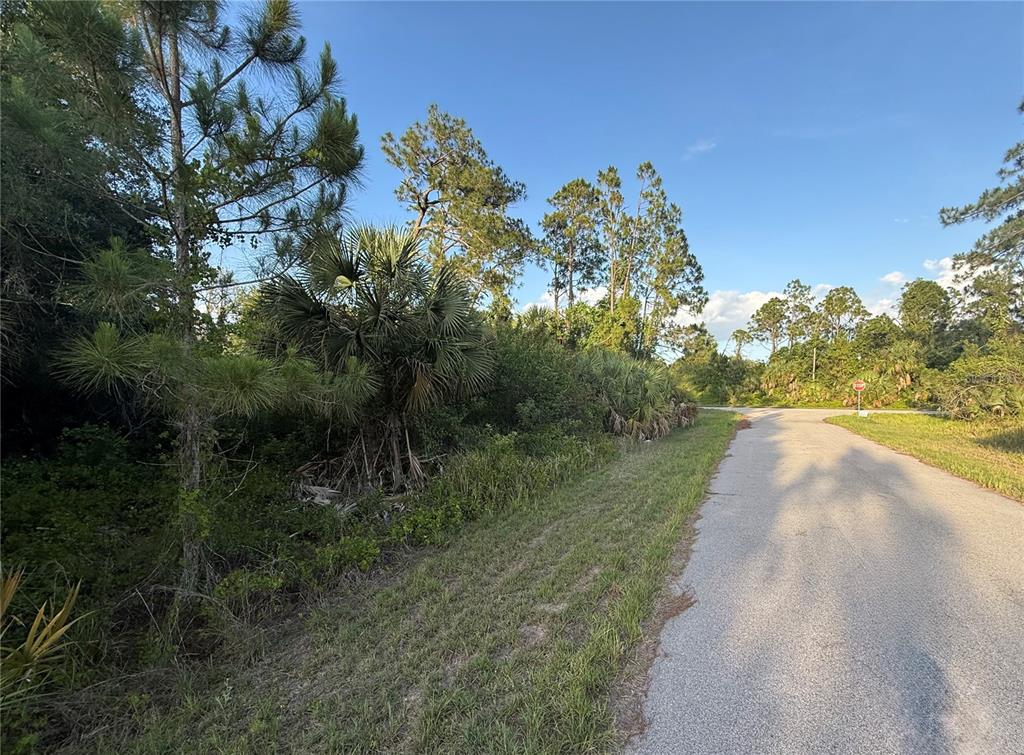 An asphalt road runs alongside a wooded area with pine trees and palmettos — Lot 11 BARCELONA DRIVE, NORTH PORT, FL