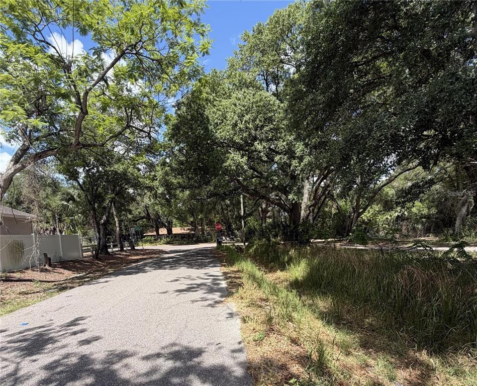 A paved road leads toward a stop sign under a canopy of large, mature trees — 6806 NEW YORK DRIVE Lots A,B,C, TAMPA, FL