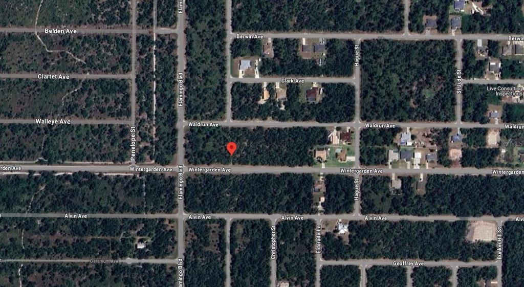 This is an aerial map view of a wooded residential area with marked streets — 17038 WINTERGARDEN AVENUE, PORT CHARLOTTE, FL