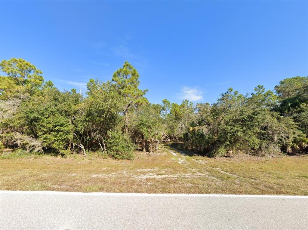 A vacant, wooded lot sits behind a paved road under a clear blue sky — 17038 WINTERGARDEN AVENUE, PORT CHARLOTTE, FL
