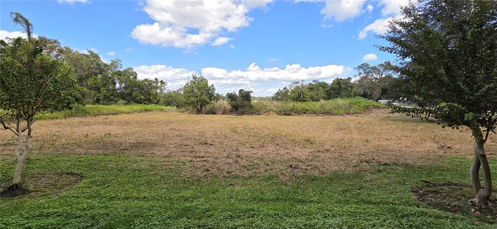 A wide, cleared grassy lot is framed by trees under a blue sky with clouds — RIVERSIDE PARK ROAD, ORLANDO, FL