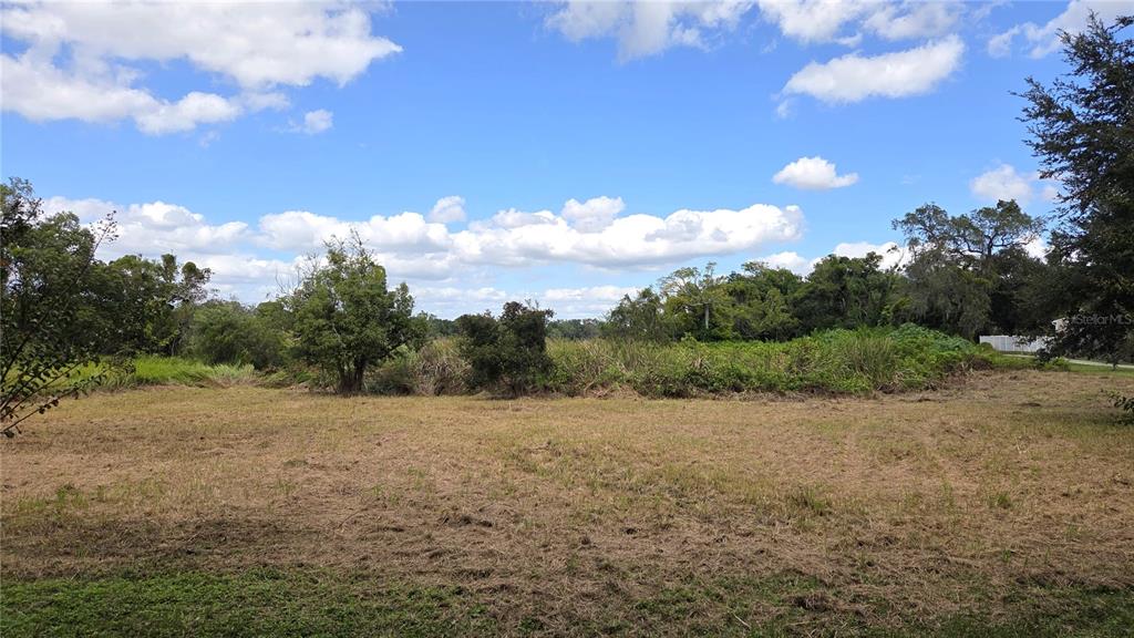 A wide, grassy field leads to a dense line of trees and brush under a sky — RIVERSIDE PARK ROAD, ORLANDO, FL