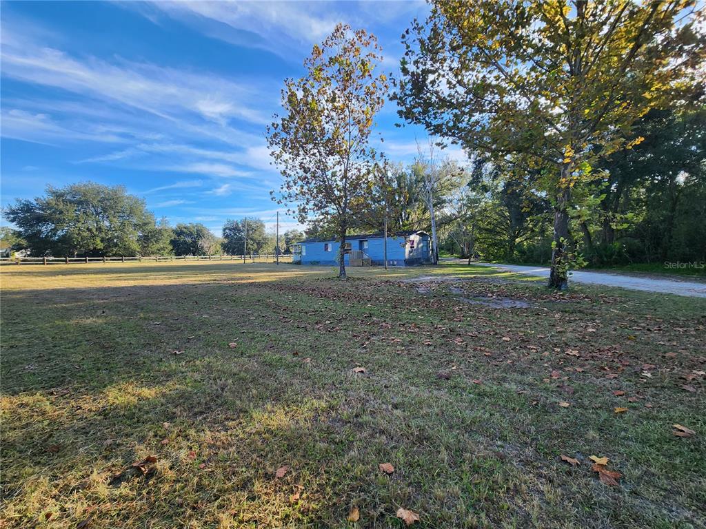 A blue mobile home sits on a large, grassy lot with scattered trees — 2608 20 MILE LEVEL ROAD, LAND O LAKES, FL