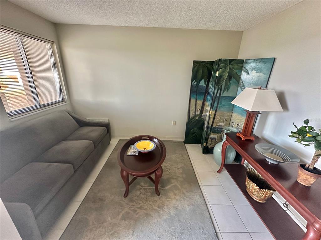 A living room features a gray sofa, an oval coffee table, and a decorative room divider — 6035 SEA RANCH DRIVE UNIT 508, HUDSON, FL