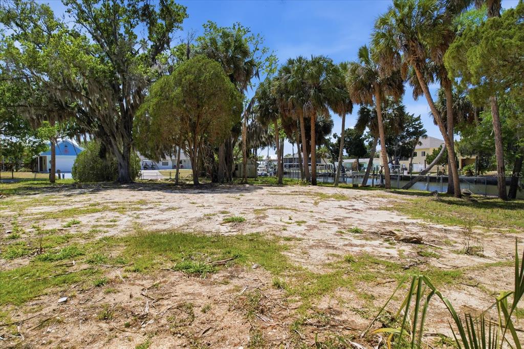 A vacant, sandy waterfront lot features scattered trees and palm trees under a blue sky — 1941 NW 16TH STREET, CRYSTAL RIVER, FL